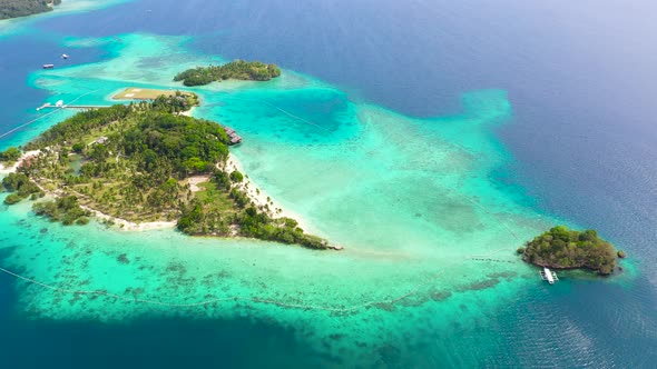 Tropical Island with Beach