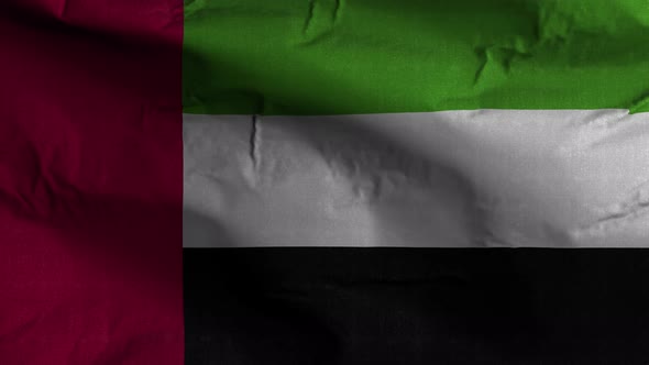 United Arab Emirates Flag Textured Waving Background 4K