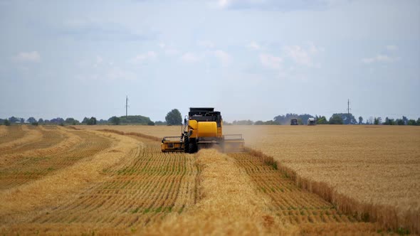 Process of gathering a ripe crop from the fields. Combine harvester in action on wheat field.