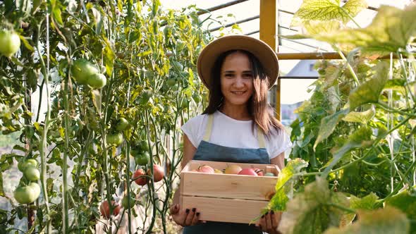 Happy Young Woman Farmer in a Greenhouse Holding a Box with Fresh Tomatoes in the Fields Vegetable