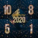 2020 New Year Countdown  - VideoHive Item for Sale