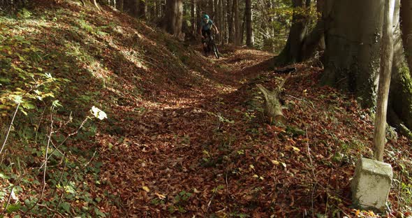 Full shot, downhill biker grinding the trail in Chiemgauer Alpen, dry leaves and trees in the backgr