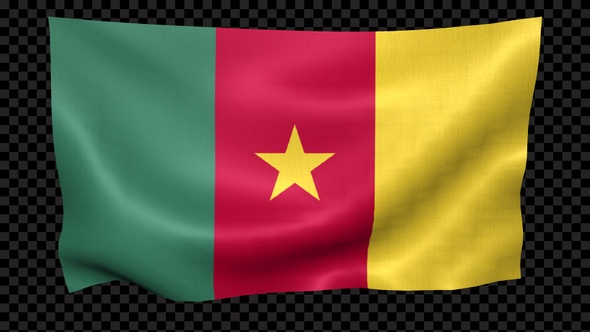 Cameroon Flag Waving Looped