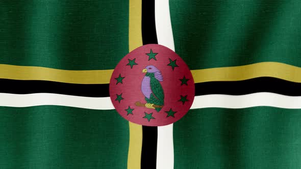The National Flag of Dominica alt