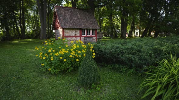 Walk in the old park on a summer day