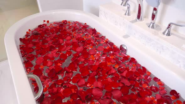 Modern Marble Bathroom with Bath Filled Red Flowers Petals for Relax