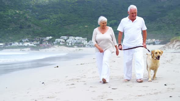 Happy senior couple walking with dog on the beach