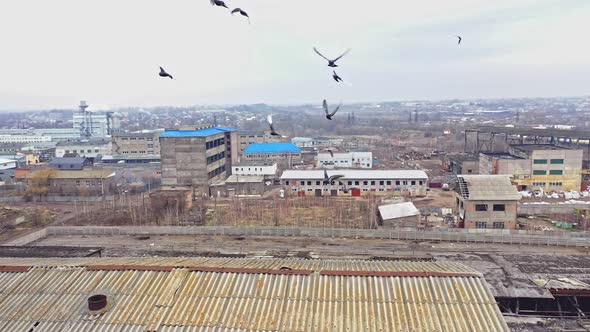 Aerial view from the air to an abandoned factory. Old industrial building for demolition.