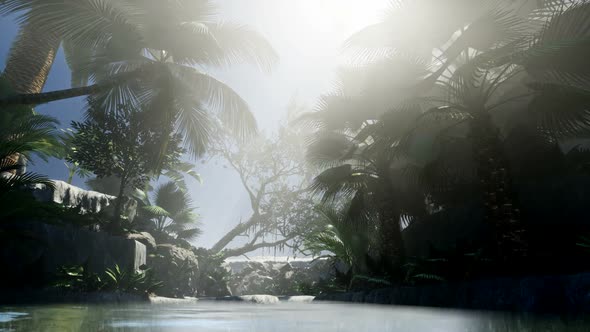 Sunset Beams Through Palm Trees alt