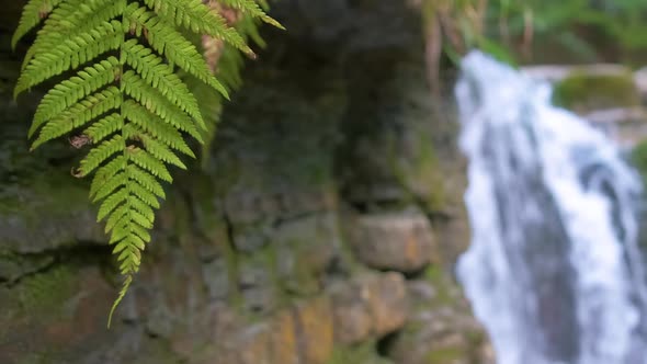 Waterfall on Mountain River with White Foamy Water Falling Down From Rocky Formation in Summer