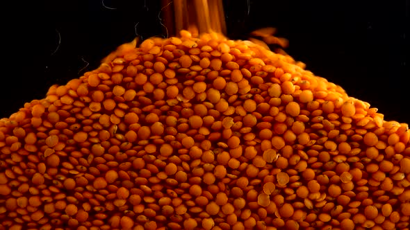 Pouring lentils on a black background.