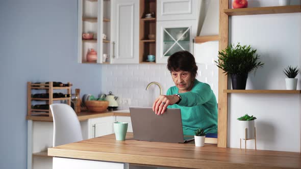 Elderly Focused Woman Remotely Working on Laptop at Home / Videohive