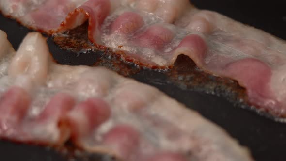 Pieces Fried Bacon is Sprinkled with Pepper