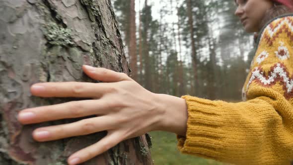 Hiker in Sweater Runs Hand on Pine Tree Trunk Walking Around