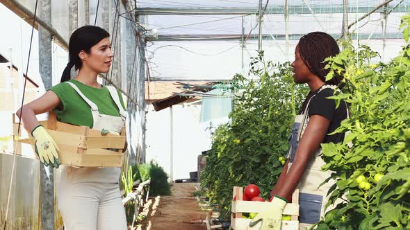 Young women working in their start up business.