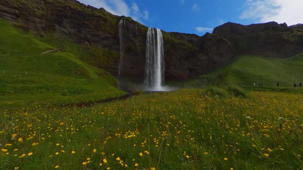 Seljalandsfoss Waterfall with Flowers Tile Up