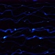Abstract Blue Smooth Line Wave Motion Animated On Black Background - VideoHive Item for Sale
