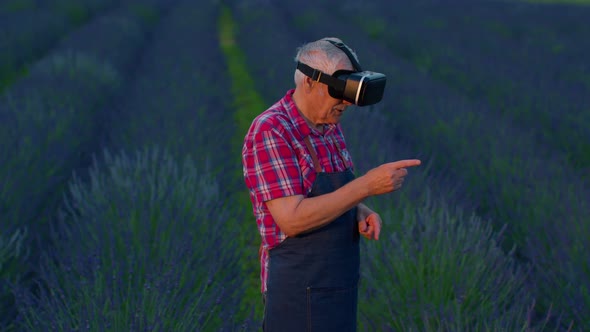 Senior Old Grandfather Farmer in Virtual Reality Helmet in Field of Lavender Flowers for Management