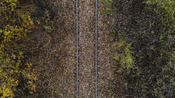 Flying Over the Railway That Passes Through the Forest Autumn