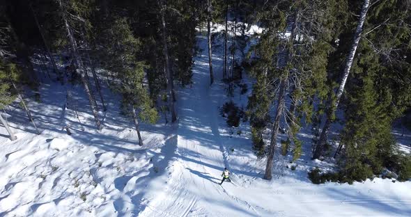 One Person Skiing on a Track Following with Camera Drone to Forest with Skier