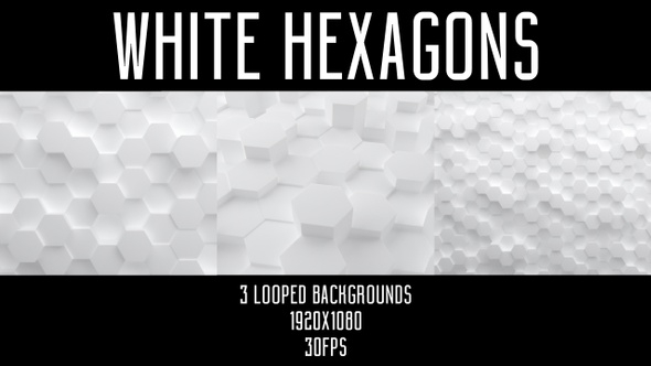 White Hexagons