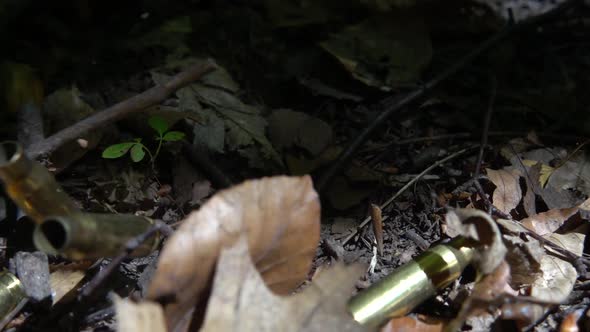 Bullet casings fall to the ground. Shooting in the forest. Slow motion.