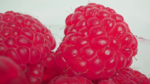 Raspberries in Container Against White Studio Wall Macro