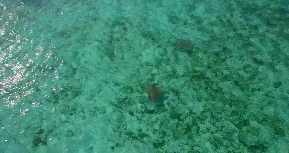 Aerial drone view of stringrays in shallow water in the Maldives.