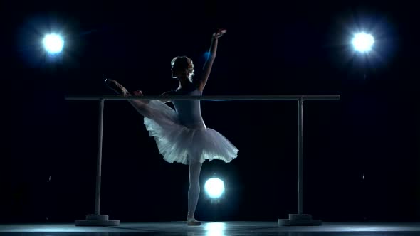 A Beautiful Female Ballet Dancer