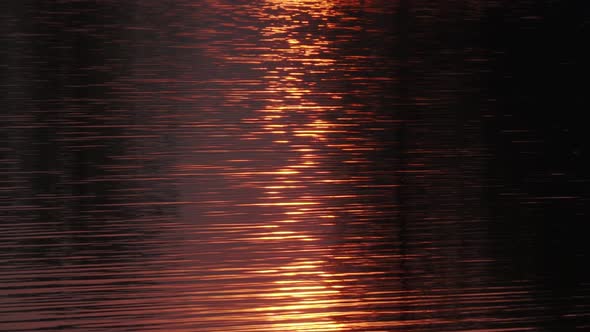sunset reflection on the water, beautiful water ripples, golden color