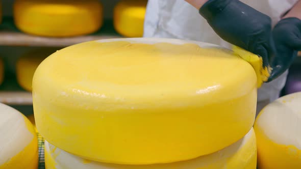 Cheese Production. The Worker Covers the Cheese with Wax. Cheese Factory