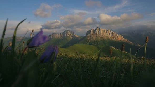 Mountain Acheshbock In Caucasus