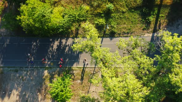 Athletes Running a Marathon on the Road in the Park on a Sunny Morning. Aerial Overall View
