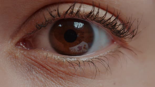 Brown Eye with Mascara on Eyelashes Blinking in Front of Camera