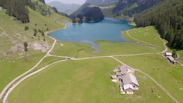 A drone flying above a mountain lake in switzerland. You can see sheep and a farmer house in the val