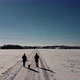 Couple takes a dog for a walk on snowy day with blue sky and sunshine - VideoHive Item for Sale