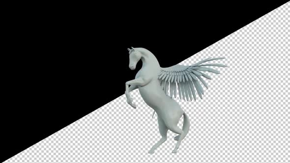 White Pegasus