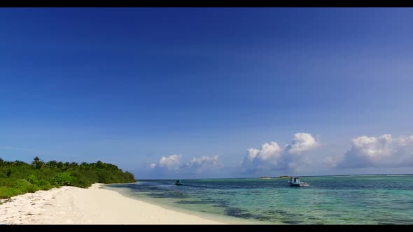 Aerial nature of tranquil bay beach wildlife by blue lagoon with white sandy background of a dayout 