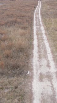 Vertical Video a Dirt Road Through an Empty Field