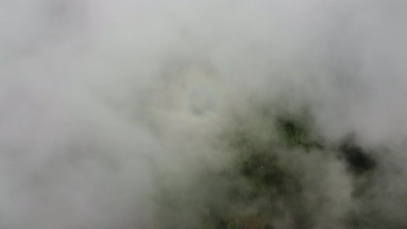 Aerial look down foggy cloud over plantation