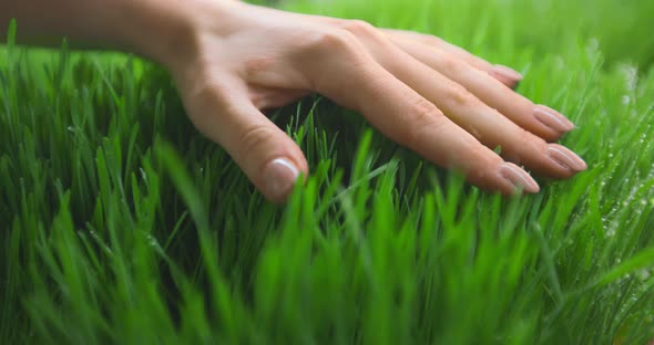 Closeup of a Hand on the Grass