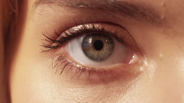 Vision Correction Laser Surgery Female Eye Pupil