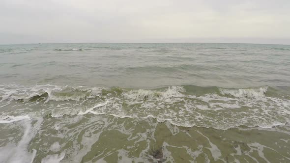 Aerial view along beach polluted with seaweed and waves, ecology, tourism