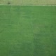 drone view of green rice paddies - VideoHive Item for Sale