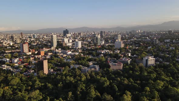 The Main park of mexico city seen from the sky