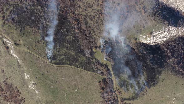 Ascending over the burned forest with spreading of white smoke