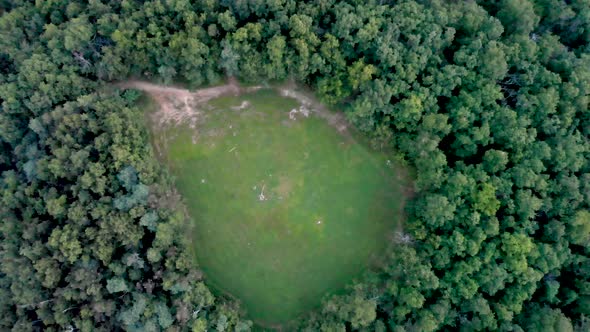 Drone footage flying over and around Yonah Mt. in Georgia.