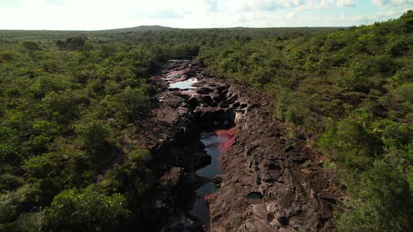 Bird's eye view of Caño Cristales, Colombia, in all its colorful glory