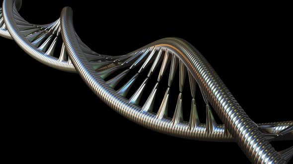 Metal DNA Molecule Model