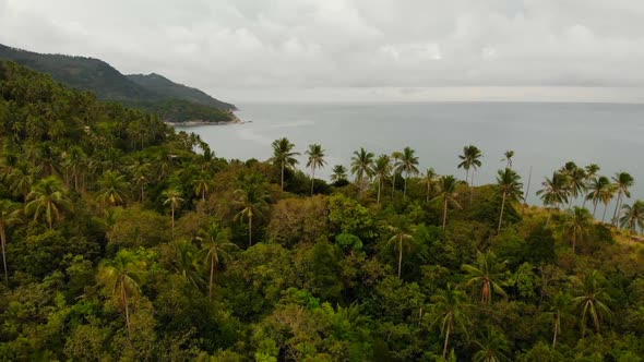 Aerial Drone Top View of Exotic Paradise Tropical Coastal Cliff with Volcanic Stones Covered